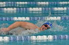 MSwim vs USCGA  Men’s Swimming & Diving vs US Coast Guard Academy. : MSwim, swimming